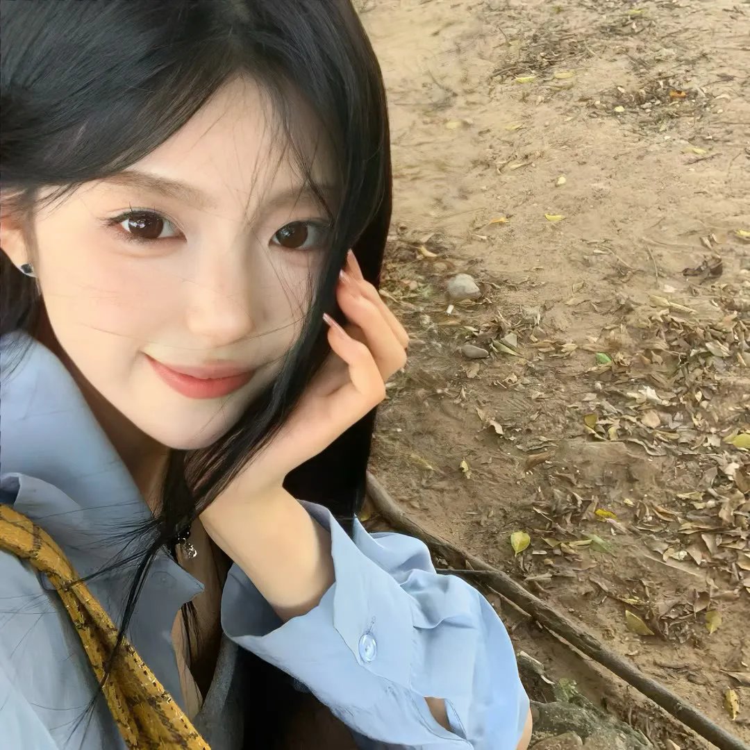 深宫劫之凤鸣九天